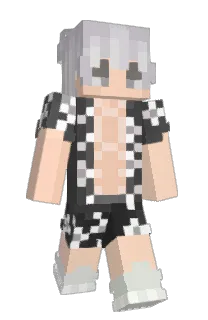 Front of pracastop's skin
