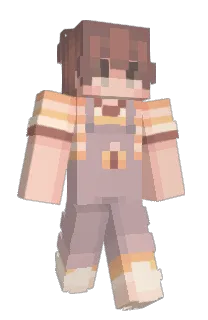 Front of apalssauce's skin
