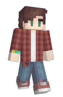 Front of Burritoos's skin