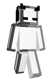 Front of schetzphonia's skin