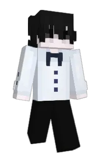 Front of ectual's skin