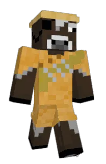 Front of Dodonoob044's skin