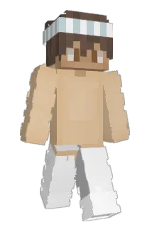 942m Minecraft avatar full body