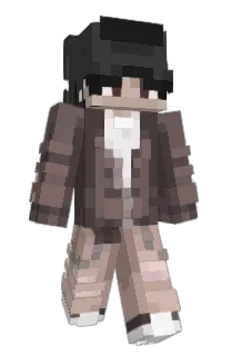 va5q's Minecraft skin