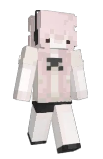 Front of Sayur0's skin