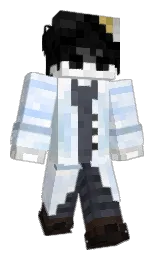 cod gray and white Minecraft skin — Classic model