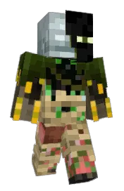 Skin preview