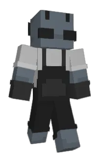 Front of henkatt's skin
