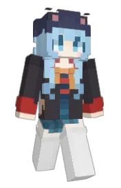 Skin preview