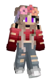 SeedT's Minecraft skin