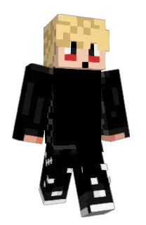 Front of _ProCeed_'s skin