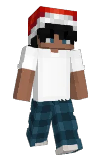 Front of BodzioWylewka's skin