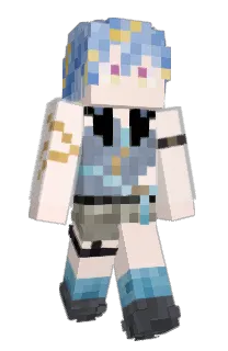 Front of R1RoE's skin