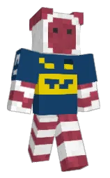 Classic Minecraft skin
