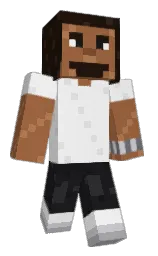Slim Minecraft skin