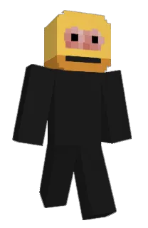 Front of zenxero_'s skin