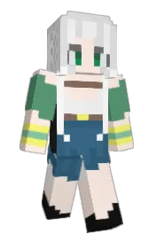 Skin preview