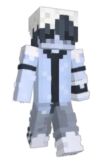 Front of hummn's skin