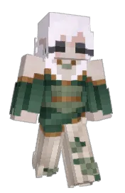 Skin preview