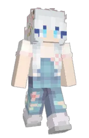 Skin preview