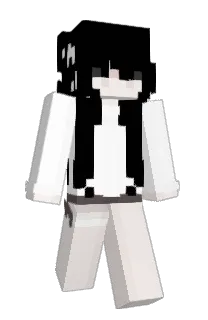 Front of Exitoso's skin