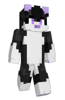 Front of C1vis's skin