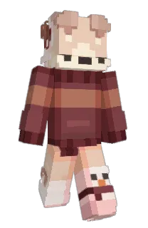 Front of Snoozypher's skin
