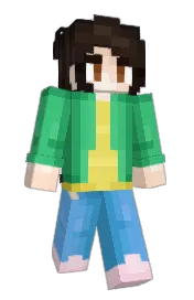 Skin preview