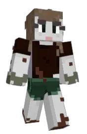 Skin preview