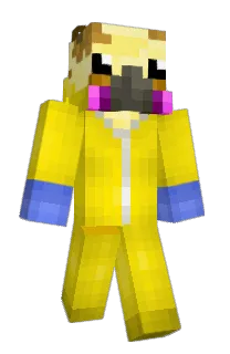 Front of Magikip's skin