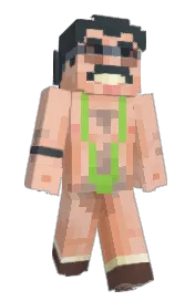 Skin preview