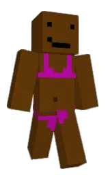Custom render preview