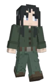 Skin preview
