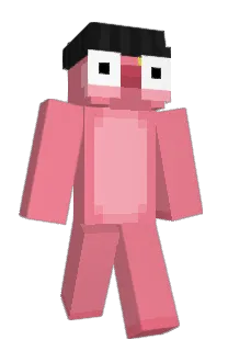 Front of LOSPED's skin