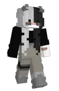 Front of Minecraft skin