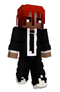 Websites's Minecraft skin