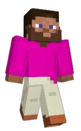 bacriti's Minecraft skin wearing the Migrator cape