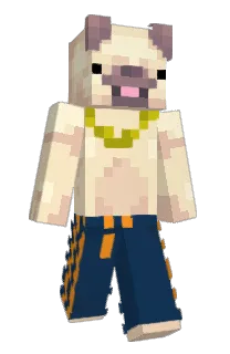 Front of REILOL's skin