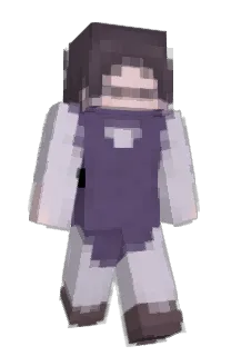 typographics's Minecraft skin
