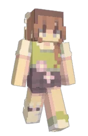 Skin preview