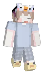 Minecraft skin — Classic model