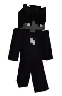 Front of poritzghg2012's skin