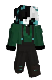 Skin preview