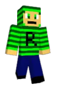 RyanCraft205