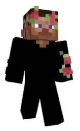 black and old copper Minecraft skin — Classic model