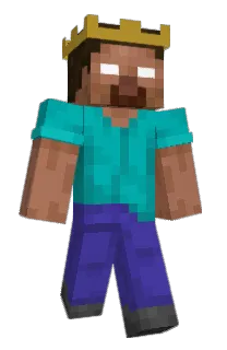 Front of Kashvan20's skin