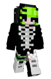 Skin preview
