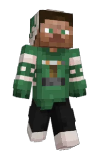 Front of carlass's skin