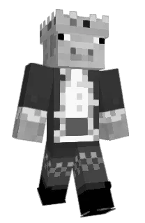 erdufanellerhva's Minecraft skin