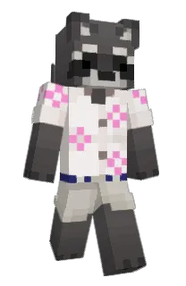 Front of valivaloche's skin
